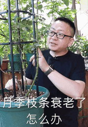 抖音誰的粉絲最多是第一名？3000多萬粉絲的第一名到底是誰？