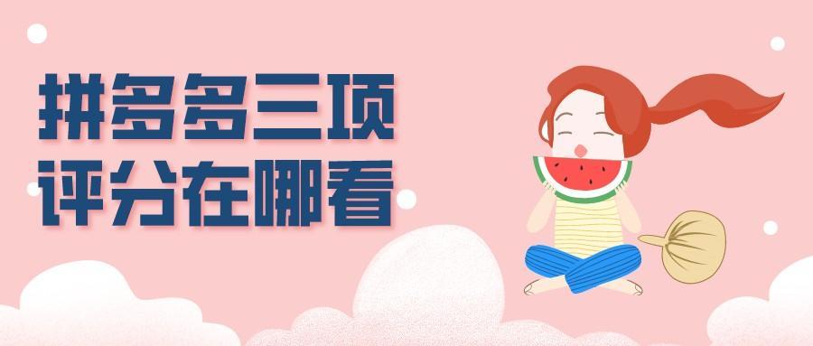 拼多多店鋪評分在哪里看到？拼多多三項評分在哪看？