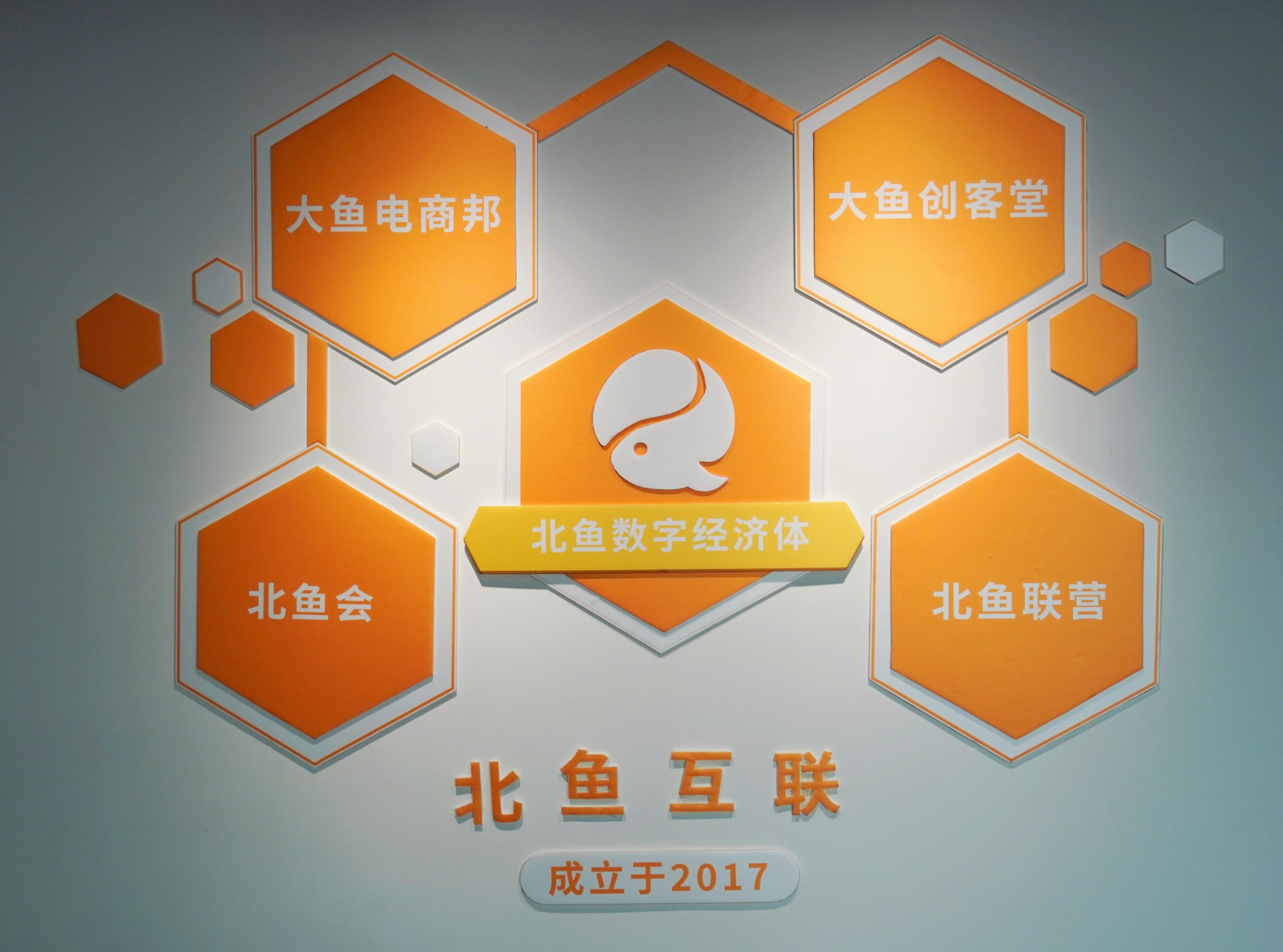 網(wǎng)上商城開(kāi)發(fā)公司有哪些比較好的（十大電商運(yùn)營(yíng)公司 ）