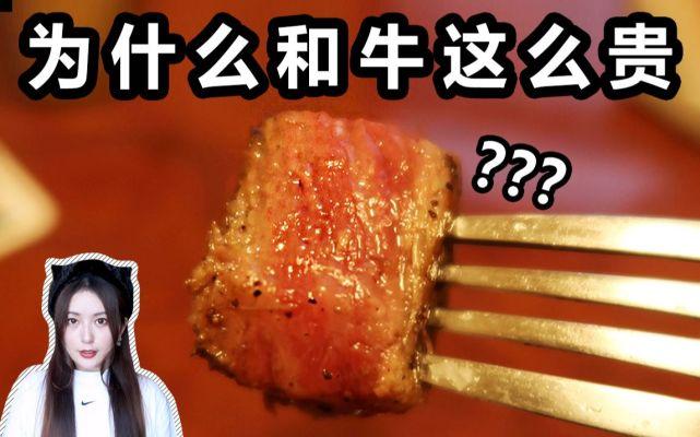 納豆奶奶怎么不更新了？回歸后再次道歉，錯(cuò)不至此請(qǐng)求原諒
