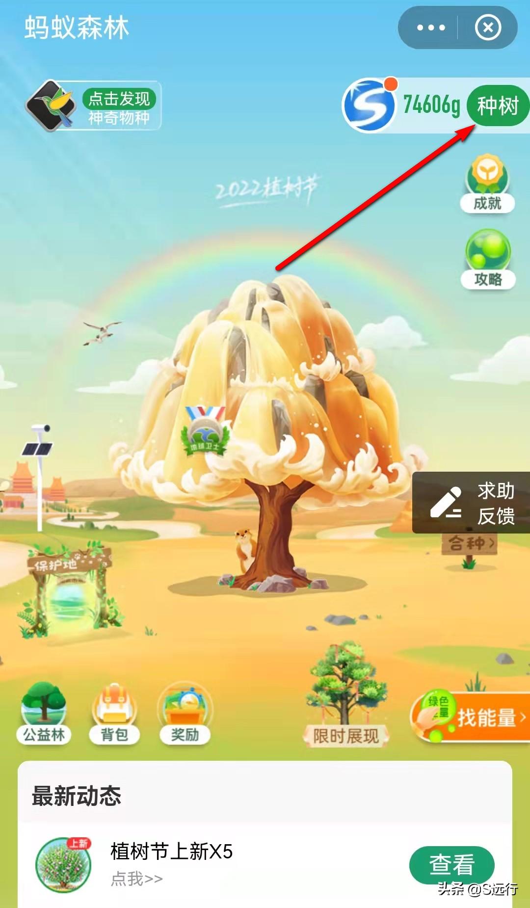 支付寶螞蟻森林怎么種樹？分享能量獲取方法和種樹攻略