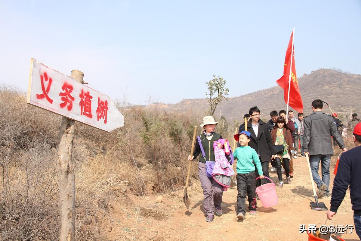 支付寶螞蟻森林怎么種樹？分享能量獲取方法和種樹攻略