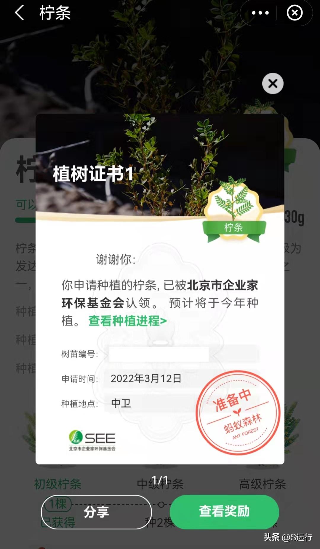 支付寶螞蟻森林怎么種樹？分享能量獲取方法和種樹攻略