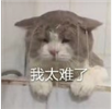 拼多多限時秒殺報名為什么被駁回？ 商家成功報名活動技巧分享