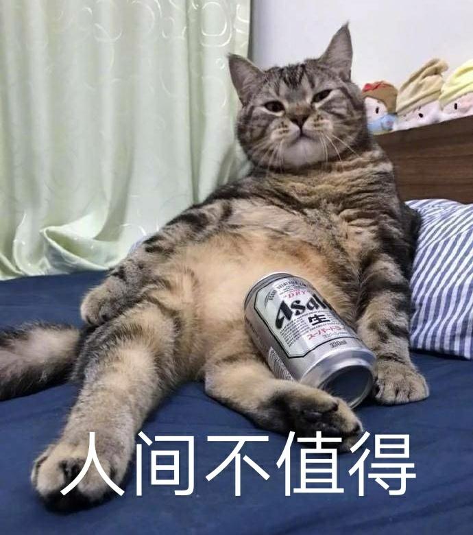 網絡用語寶子是什么意思？分享2020年網絡流行語和熱詞