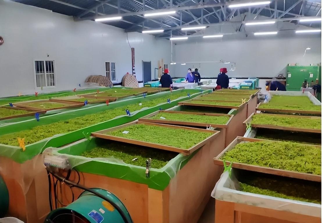 1元包郵怎么賺錢？拼多多一元商品賺錢模式