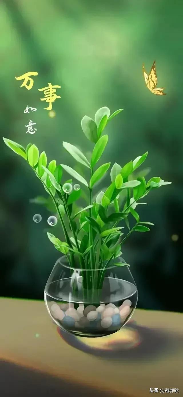 禮金是什么意思？禮金的數額大小設置及禮金包括哪些項目？