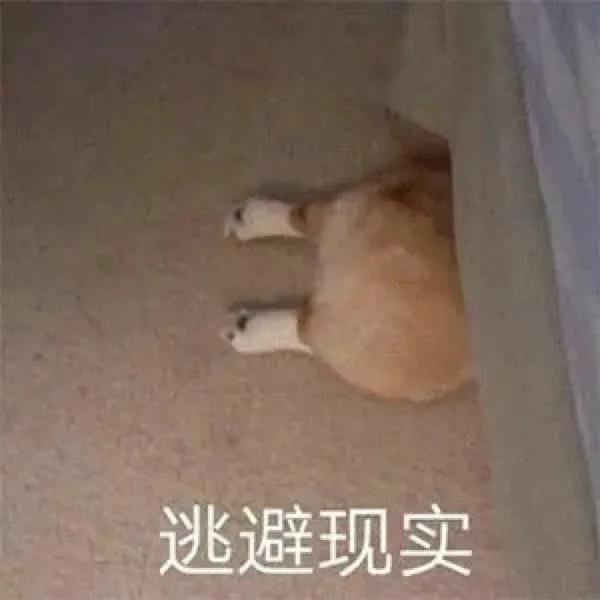12315和12345哪個投訴最有用？分析兩者的區別及優勢效果介紹