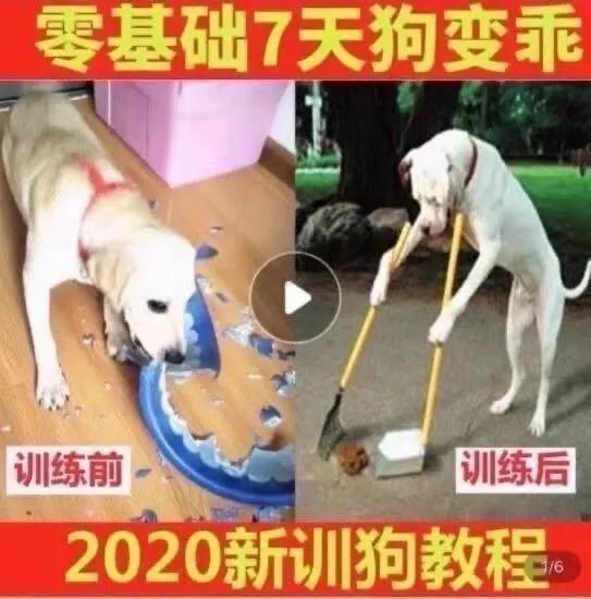 拼多多廣告語（100條經典廣告語合集）