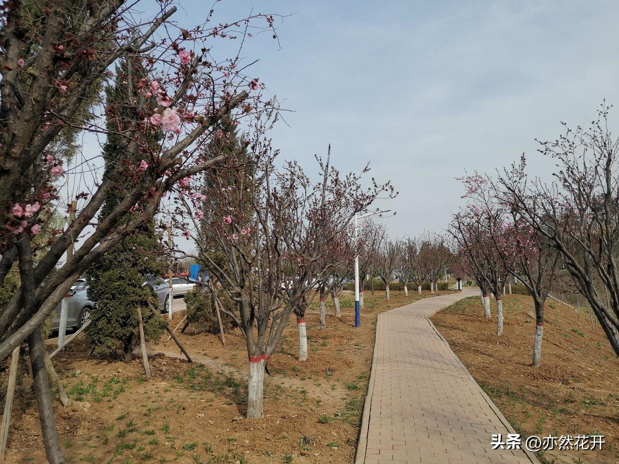 公司簡介怎么寫？超吸引人是公司簡介文案模板大全