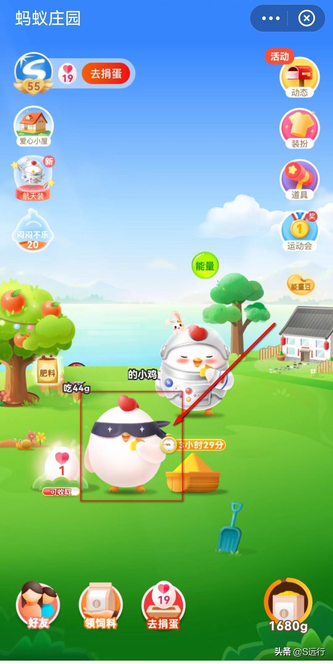 支付寶的螞蟻莊園怎么玩？支付寶莊園被打跑的小雞怎么請(qǐng)回來(lái)？