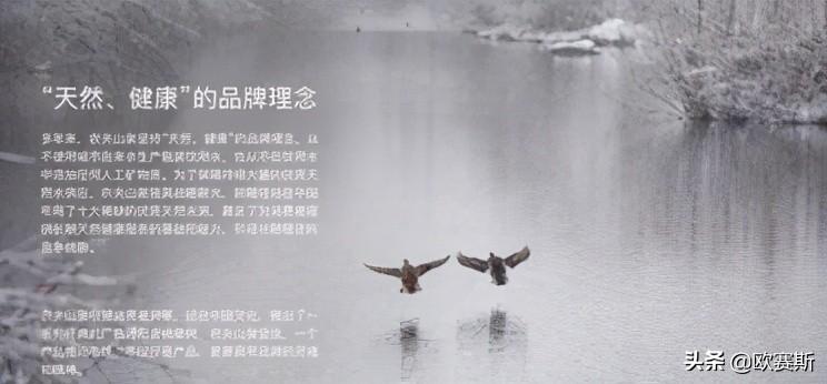 品牌理念包括哪些方面？超級(jí)品牌的煉成方式及理念落地為產(chǎn)品的觀念
