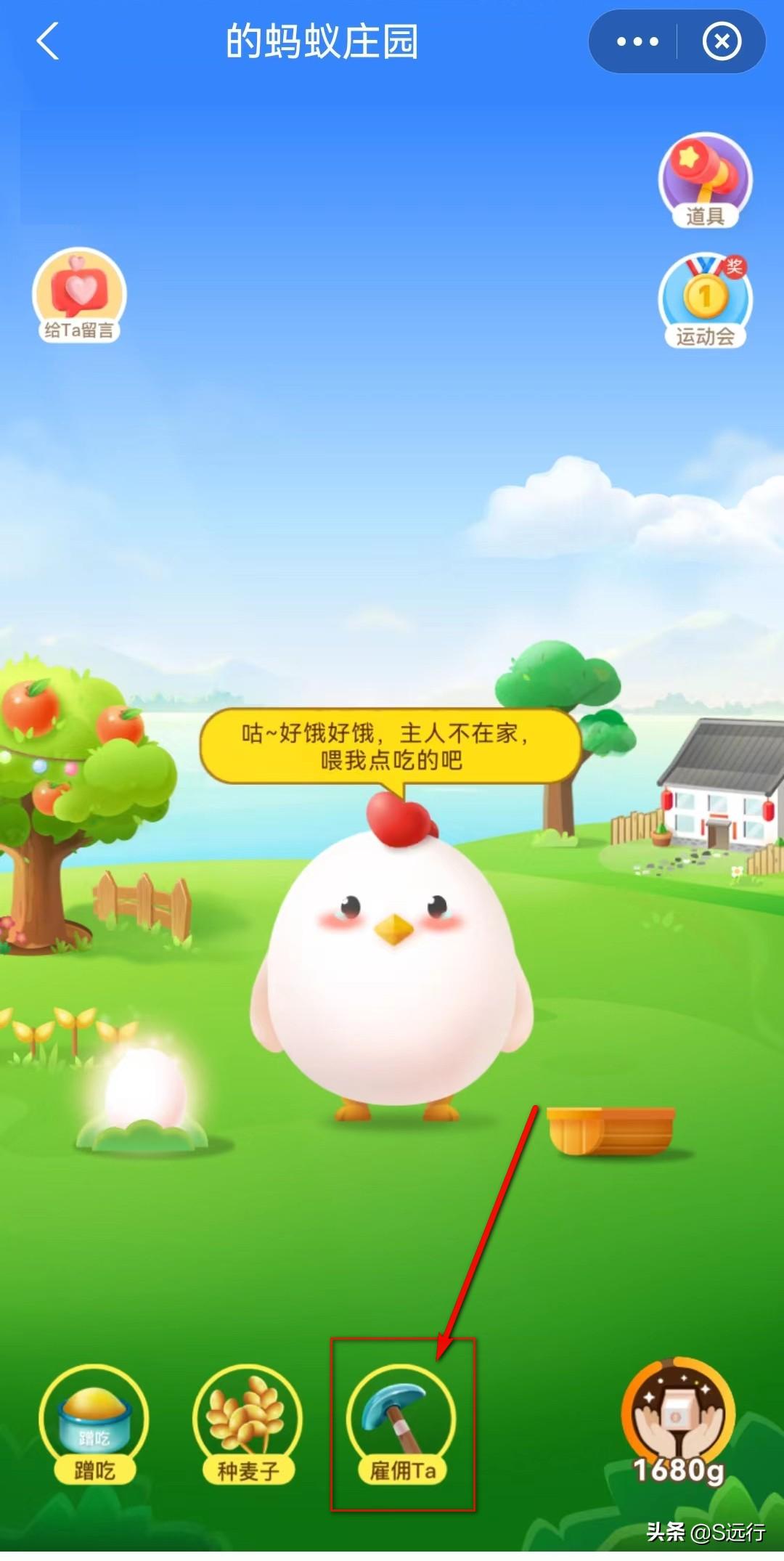 支付寶的螞蟻莊園怎么玩？支付寶莊園被打跑的小雞怎么請(qǐng)回來(lái)？