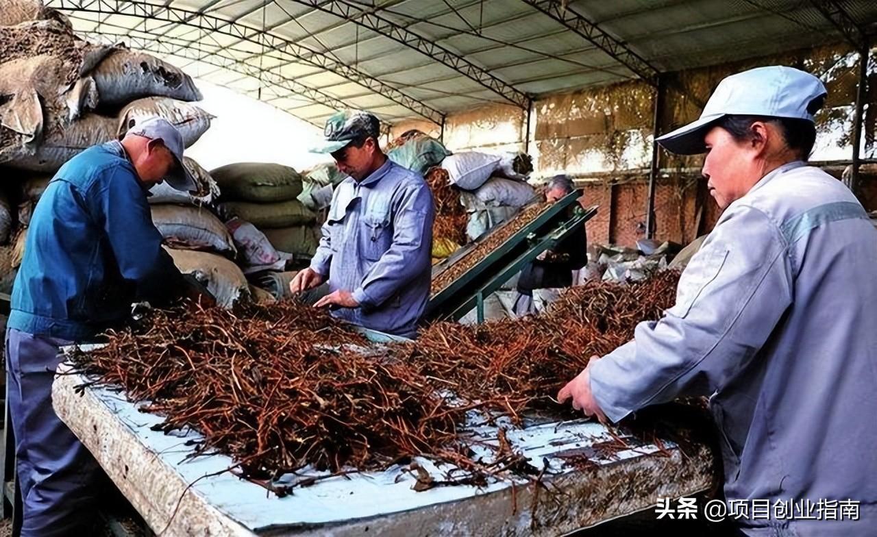 什么東西好賣？適合新手做的十大冷門暴利生意