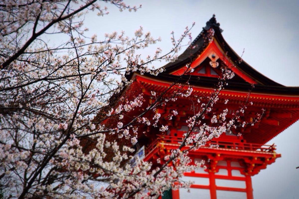 日本以前叫什么名字？古代中國對日本的稱呼是什么？