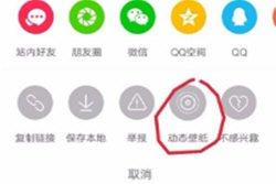 視頻怎么做手機動態壁紙？抖音視頻設置成手機屏保的方法
