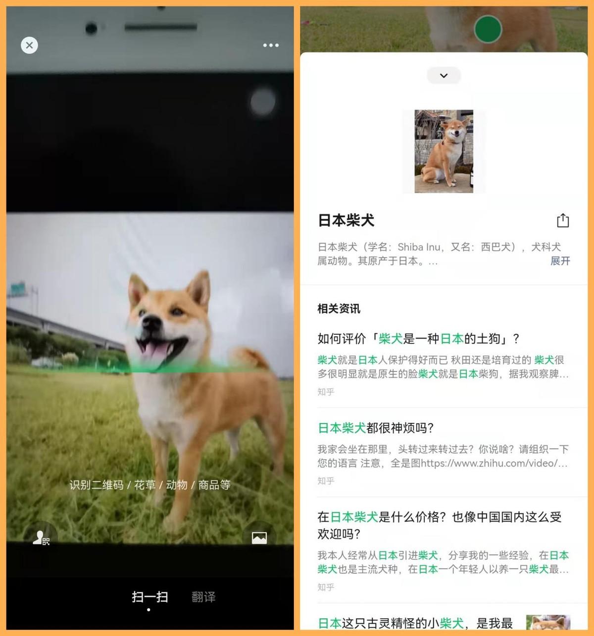 掃一掃功能使用了什么識別方式？微信掃一掃的功能介紹及玩法