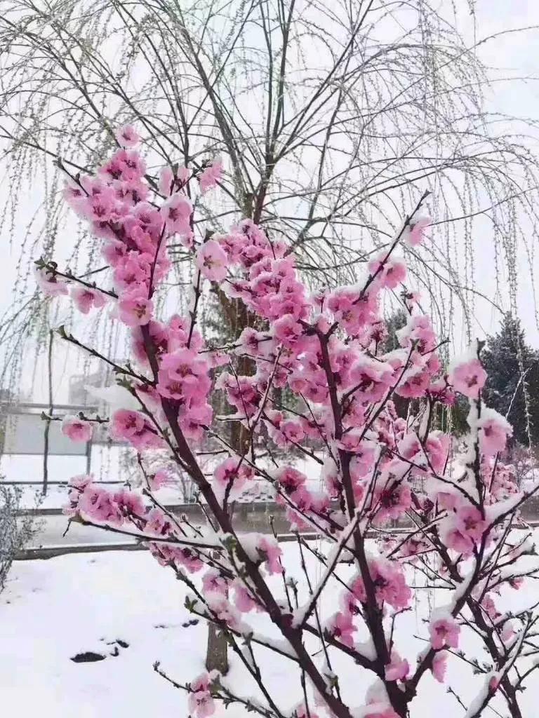 小店鋪適合做什么生意？低成本小投資的創業項目推薦
