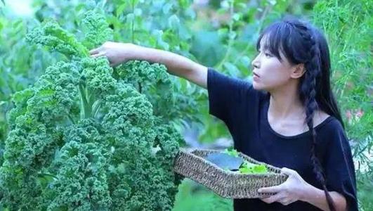 網紅直播間在線前十名收入怎么樣？盤點網紅主播最新收入排行