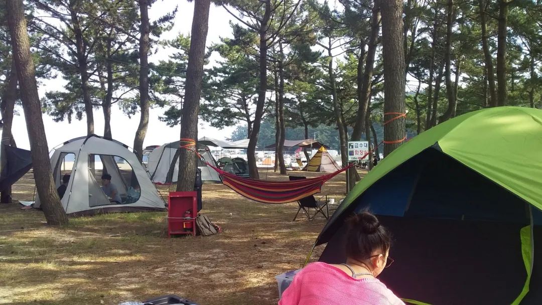 行業解讀|韓國露營類目高爆發！7萬億市場成出海新風口？