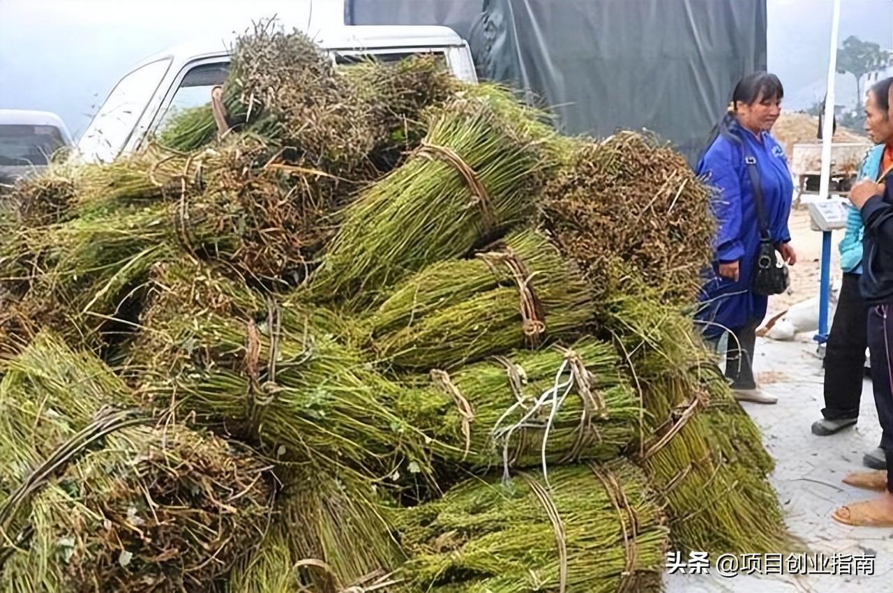 什么東西好賣？適合新手做的十大冷門暴利生意