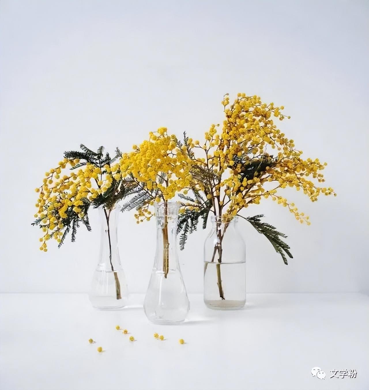 抖音熱門話題文案怎么寫？抖音吸引人點贊關注的文案句子
