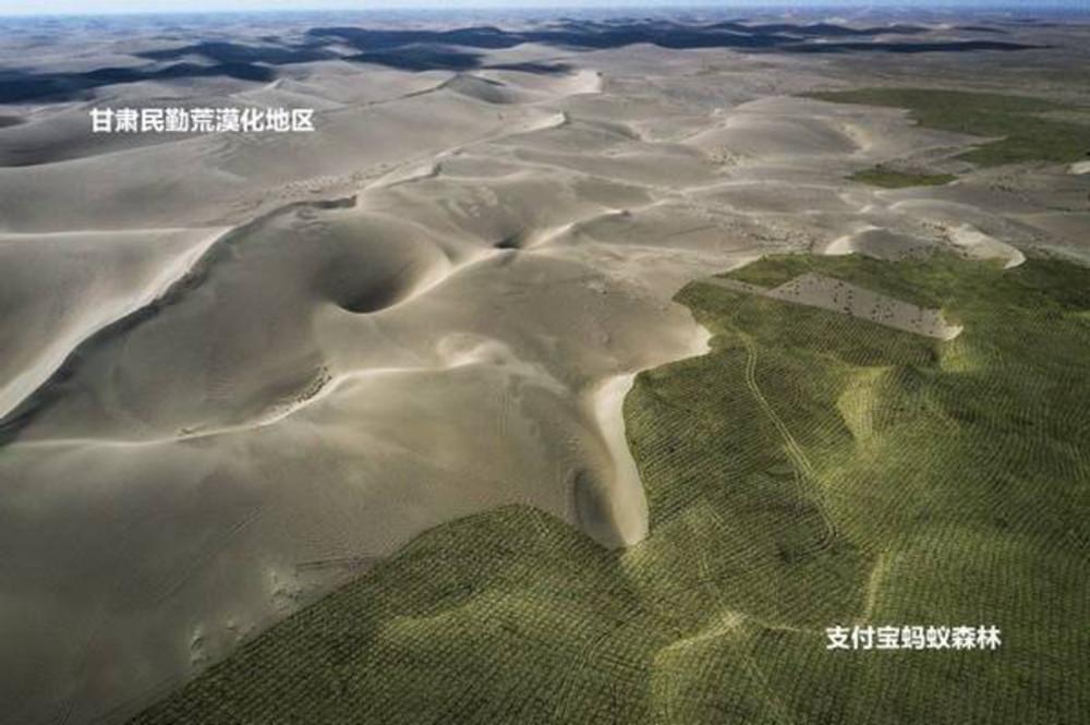 螞蟻森林種樹是真的嗎？支付寶螞蟻森林真正的目的及意義