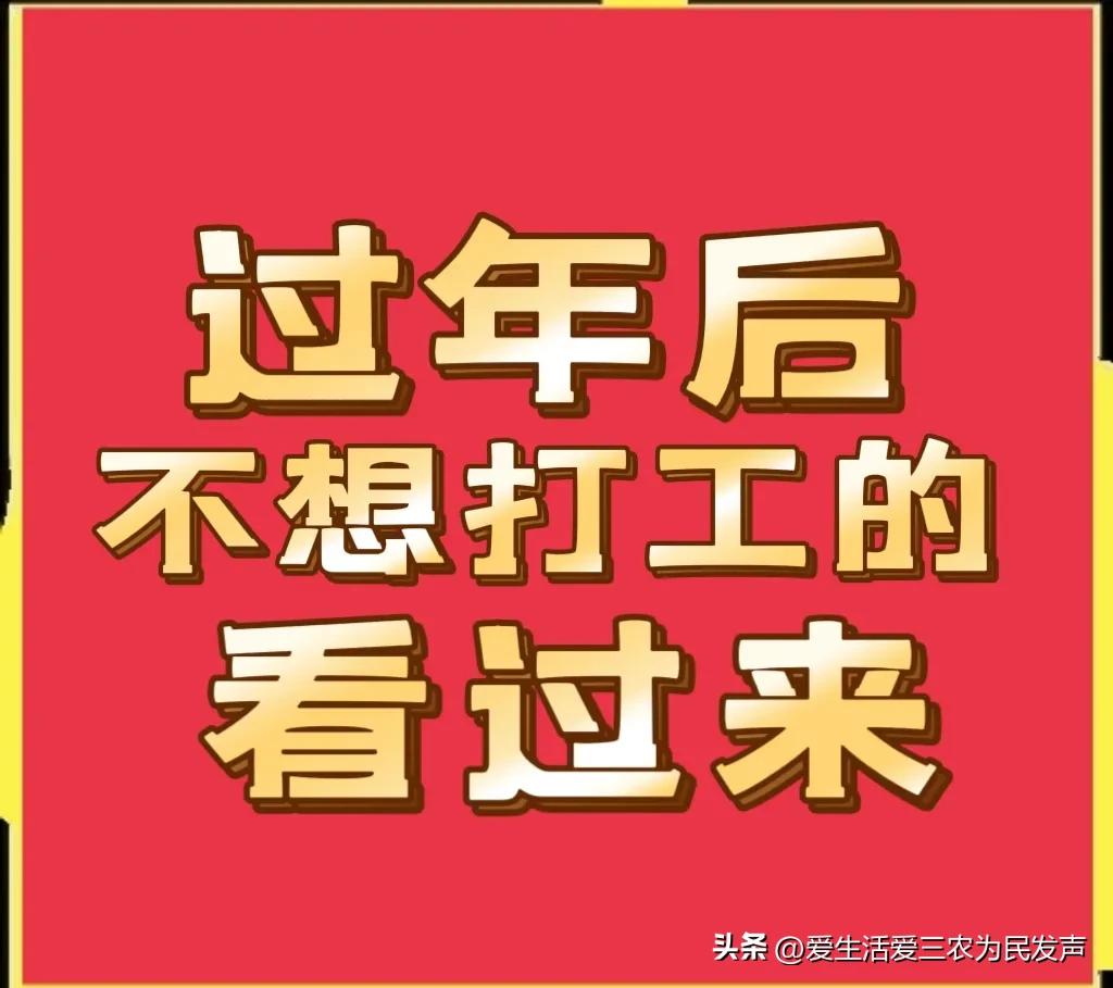 小買賣創(chuàng)業(yè)項目推薦（適合新手做的小生意創(chuàng)業(yè)項目）