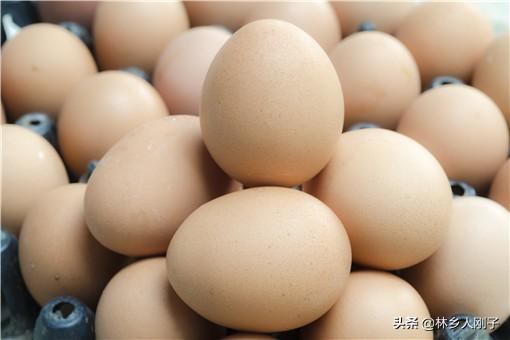 雞蛋批發一手貨源價格（全國蛋品十大批發市場及雞蛋進貨技巧）