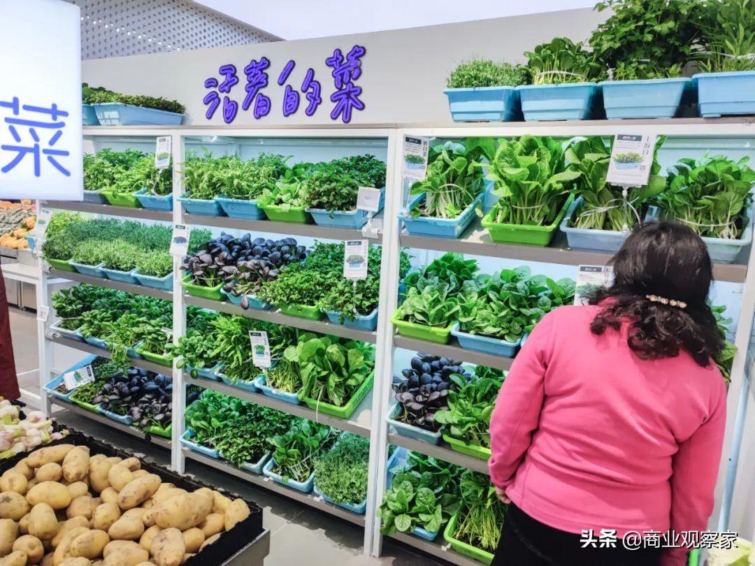 誼品生鮮超市怎么加盟的？社區生鮮超市加盟品牌有哪些？