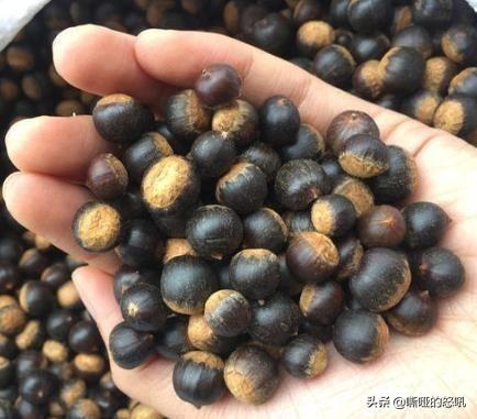 農村土特產有哪些？農村家鄉土特產一般賣什么品種？