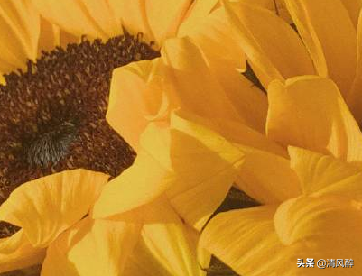 快手熱門文案高質(zhì)量短句（簡單創(chuàng)意適合上熱門的經(jīng)典文案合集）