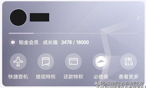 鉑金會員一年消費多少錢？支付寶鉑金會員是什么等級？