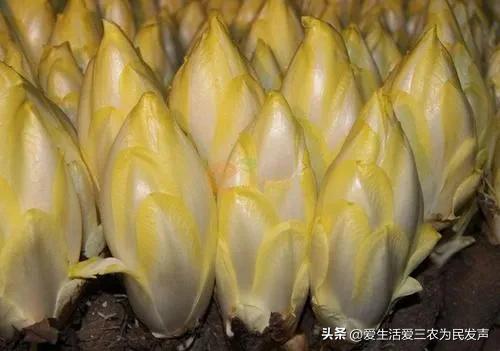小買賣創(chuàng)業(yè)項目推薦（適合新手做的小生意創(chuàng)業(yè)項目）