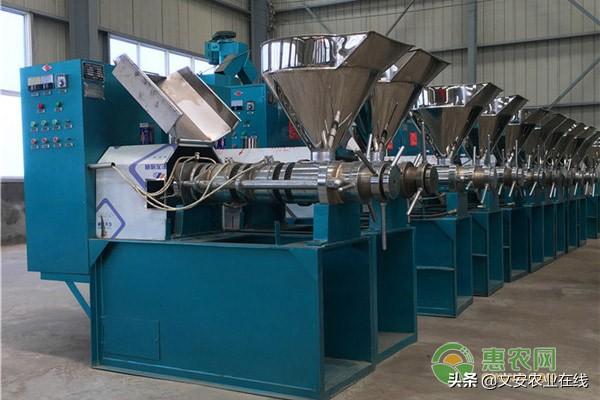 榨油機器全自動多少錢一套？2020不同品種榨油機械報價大全