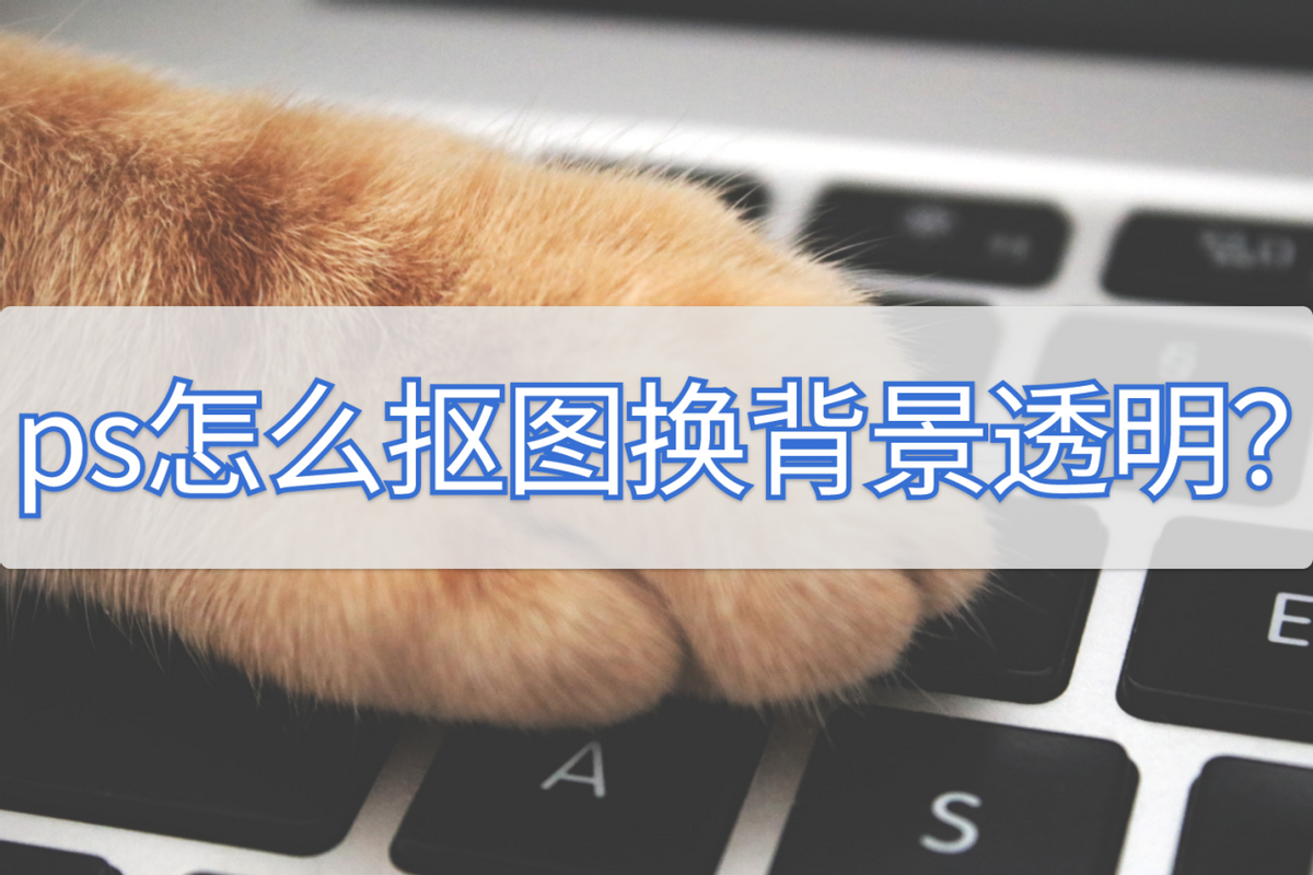 ps白色底圖怎么變透明色？教你用Photoshop去掉背景色的方法