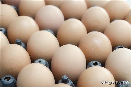 雞蛋批發一手貨源價格（全國蛋品十大批發市場及雞蛋進貨技巧）