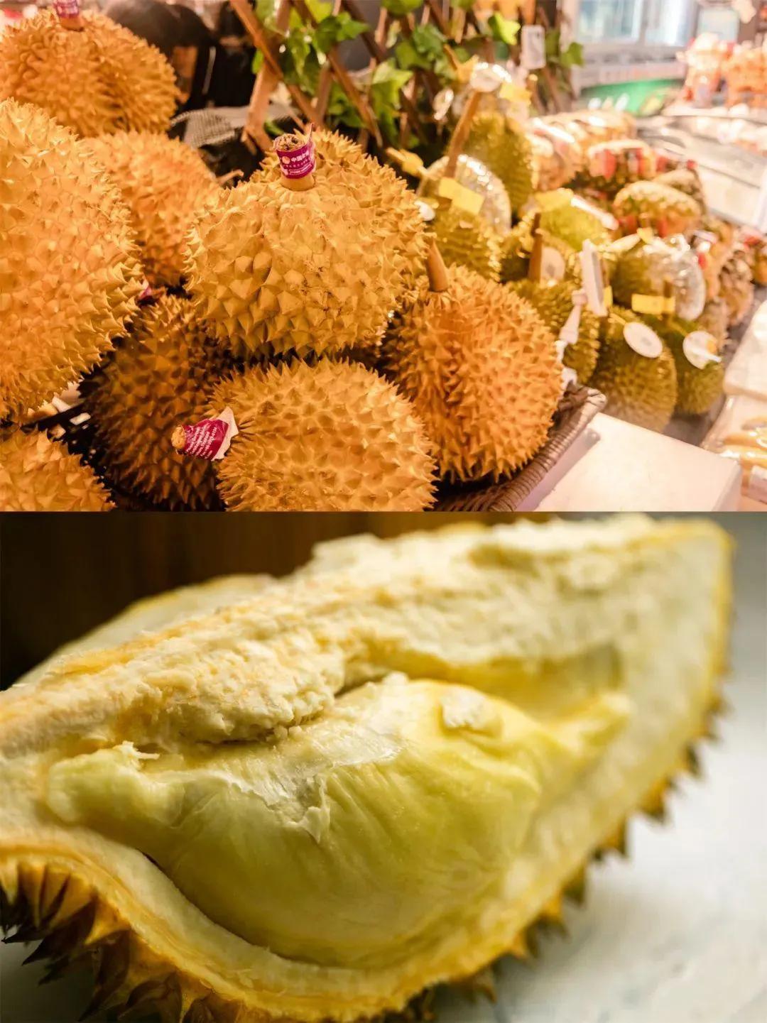 新致富項目種植（2023年不愁銷路的種植模式推薦）