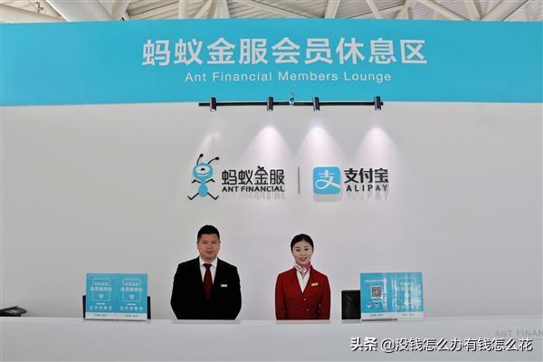 鉑金會員一年消費多少錢？支付寶鉑金會員是什么等級？