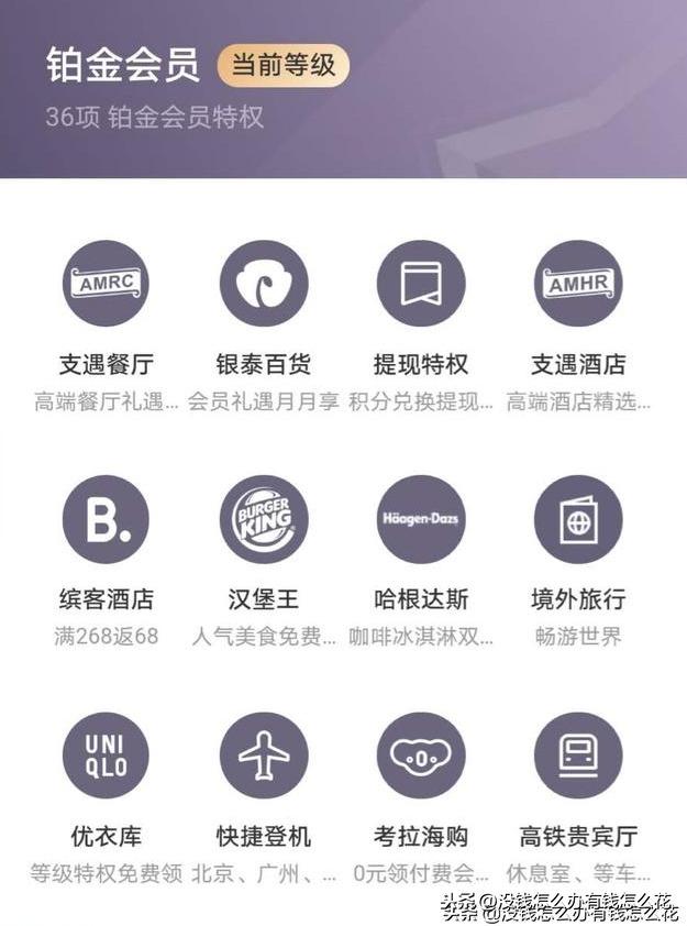鉑金會員一年消費多少錢？支付寶鉑金會員是什么等級？