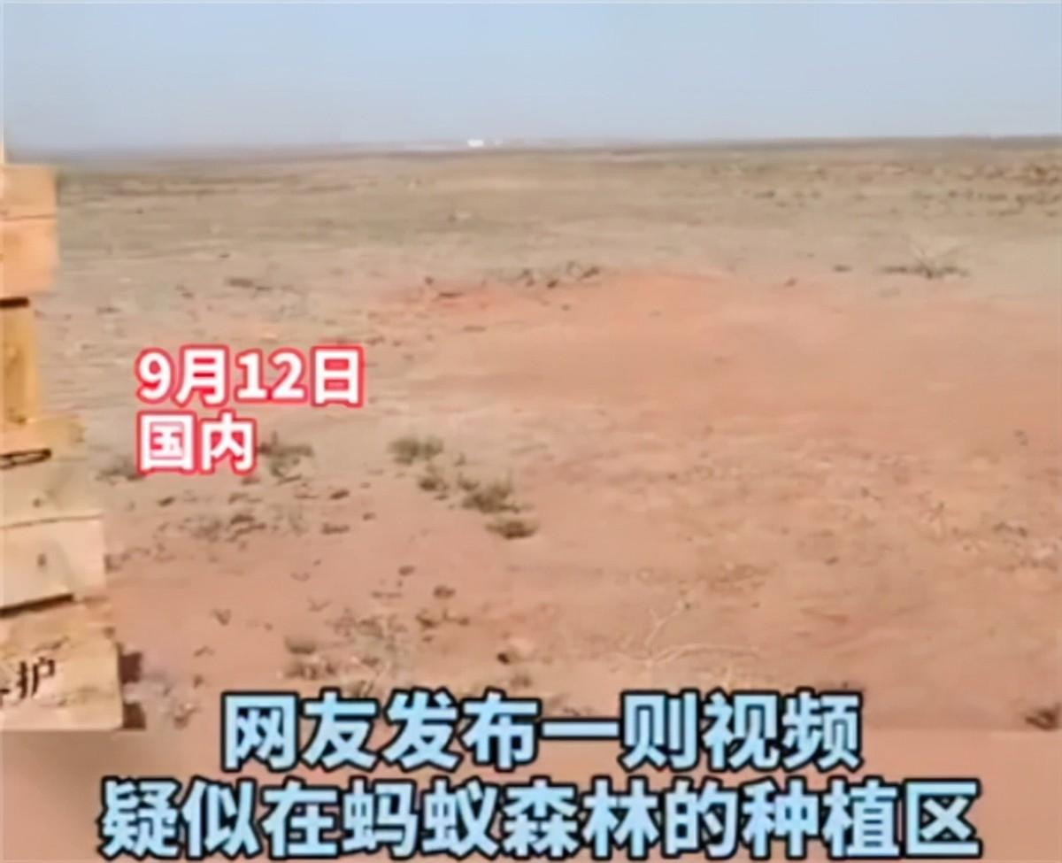 螞蟻森林種樹是真的嗎？支付寶螞蟻森林真正的目的及意義