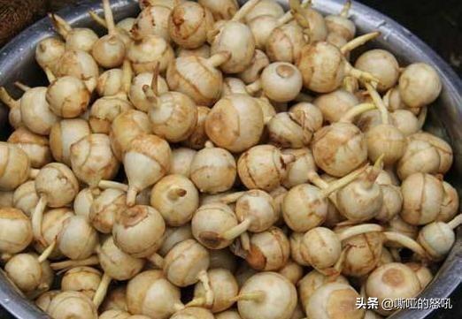 農村土特產有哪些？農村家鄉土特產一般賣什么品種？