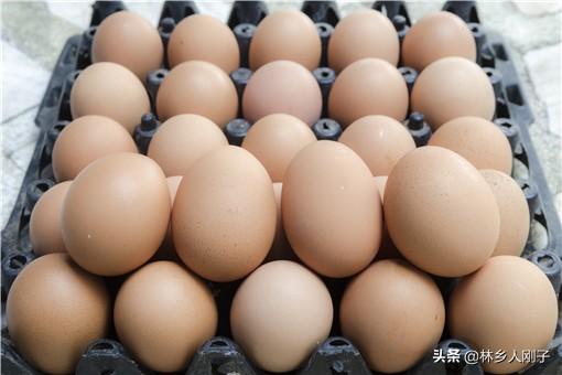 雞蛋批發一手貨源價格（全國蛋品十大批發市場及雞蛋進貨技巧）