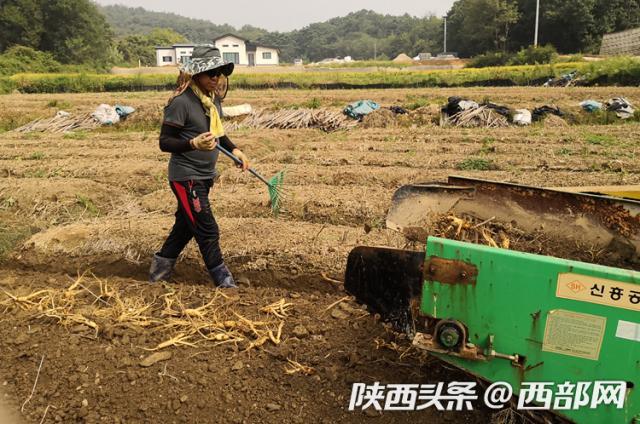 京東全球購是正品嗎?京東全球購化妝品鑒別正品十大技巧