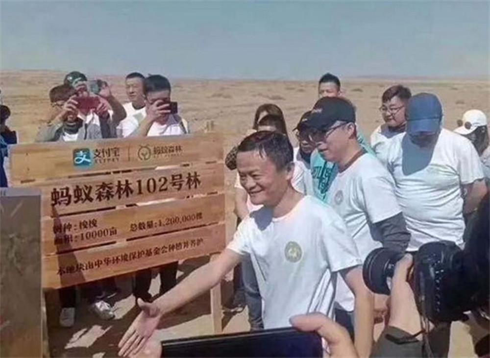 螞蟻森林種樹是真的嗎？支付寶螞蟻森林真正的目的及意義