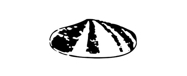 知名品牌logo設計大全（全球知名品牌logo設計理念及意義）