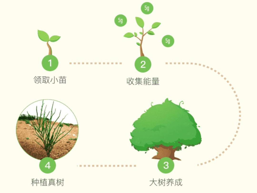 螞蟻森林種樹是真的嗎？支付寶螞蟻森林真正的目的及意義