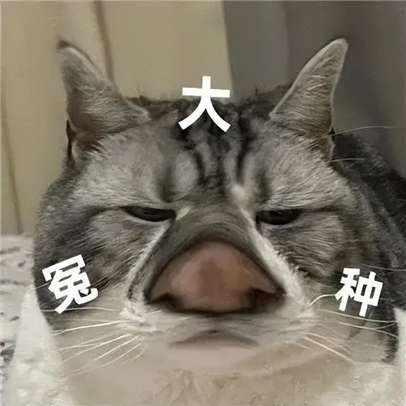 淘客訂單查詢工具在哪？淘寶聯盟訂單查詢的詳細教程分享