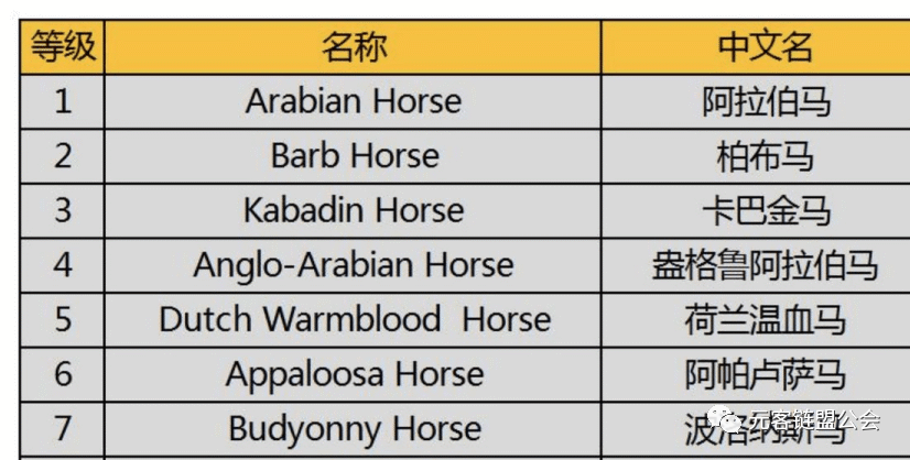 超級(jí)賽馬場(chǎng)游戲攻略（分享超級(jí)大馬游戲規(guī)則）