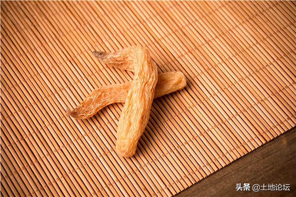 種植什么藥材掙錢多？種植藥材創業項目有哪些？